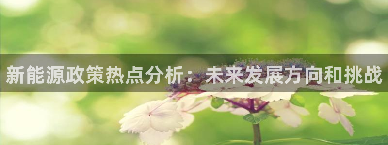新宝gg直属