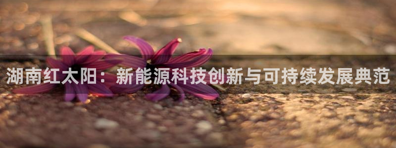 新宝平台gg