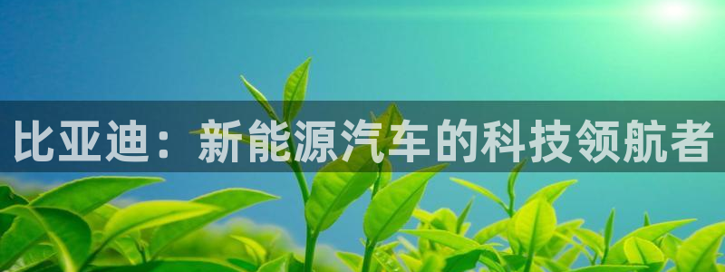 新宝gg代理