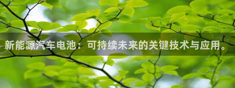 新宝gg 网址