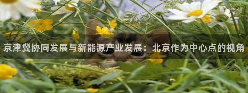 l新宝gg：京津冀协同发展与新能源产业发