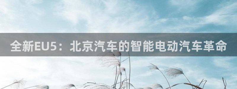 新宝GG程355051：全新EU5：北京