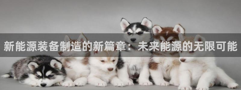 新宝gg总代理
