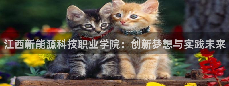 新宝gg娱乐-上鼎狐网