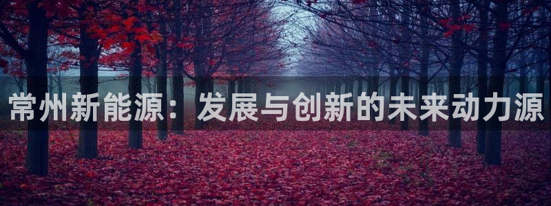 新宝gg 1980:常州新能源:发展与创新的未来动力源