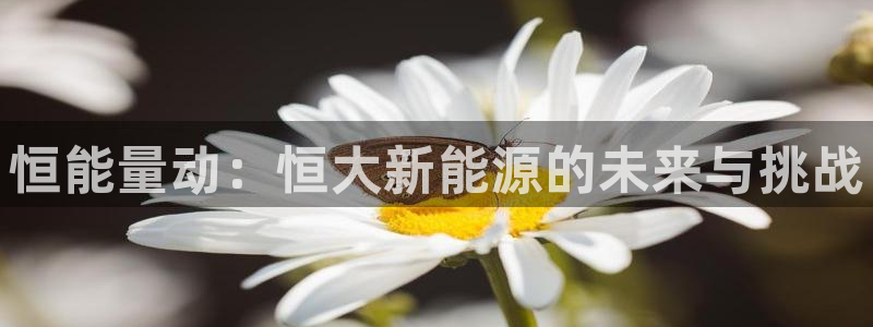 gg新宝gg