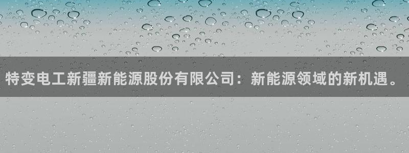 新宝gg注册q -26880:特变电工新疆新能源股份有限公司