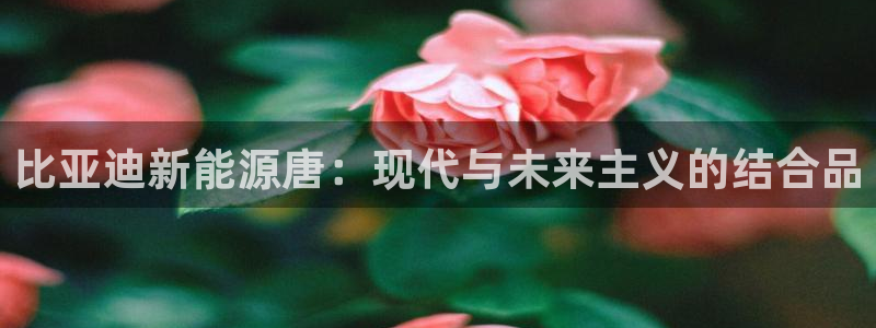 新宝_GG奇迹