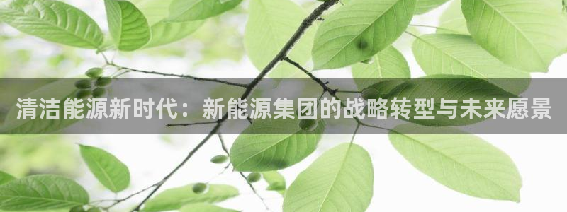 新宝gg玩：清洁能源新时代：新能源集团的