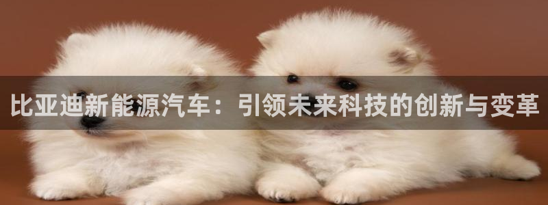 新宝gg登录地址：比亚迪新能源汽车：引领