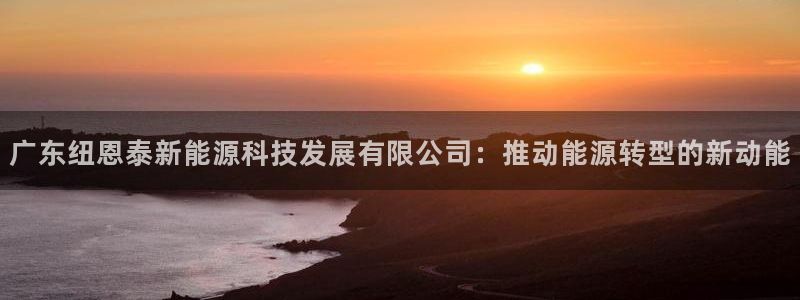 新宝gg传奇：广东纽恩泰新能源科技发展有