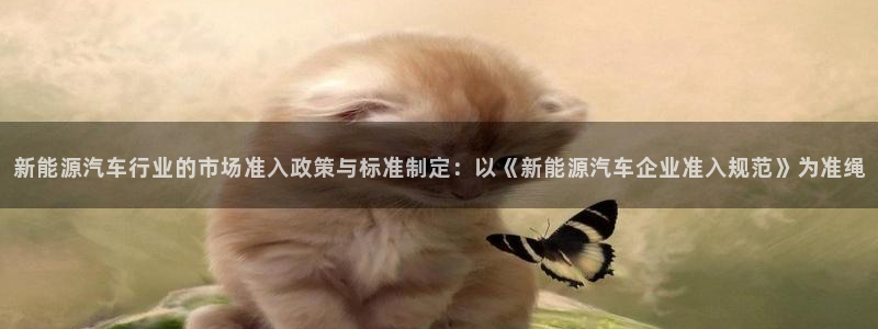 新宝gg套利：新能源汽车行业的市场准入政