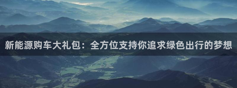 新宝gg软件下载：新能源购车大礼包：全方