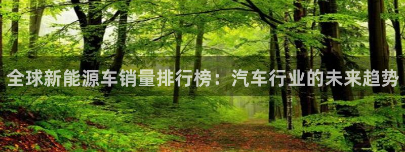 新宝gg注销:全球新能源车销量排行榜:汽车行业的未来趋势