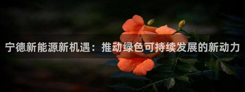 新宝gg开好：宁德新能源新机遇：推动绿色