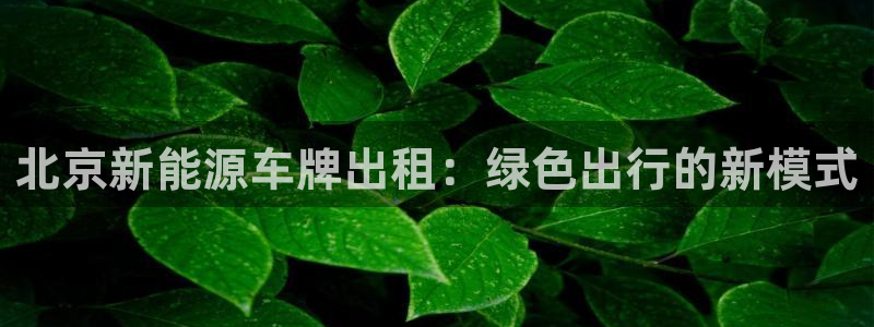 新宝GG官方域名：北京新能源车牌出租：绿