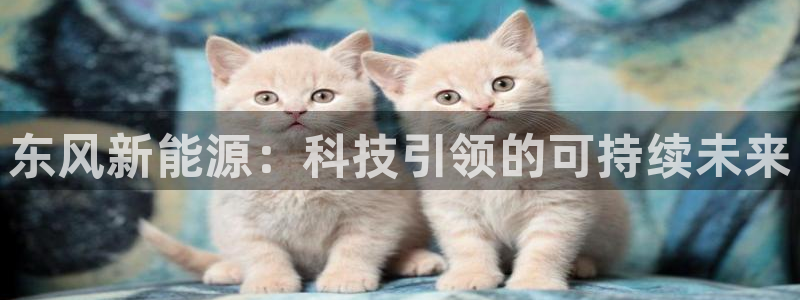 新宝gg最：东风新能源：科技引领的可持续