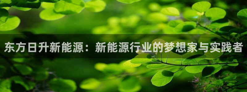 新宝GG反点