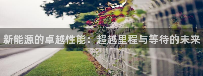 新宝GG专业团队