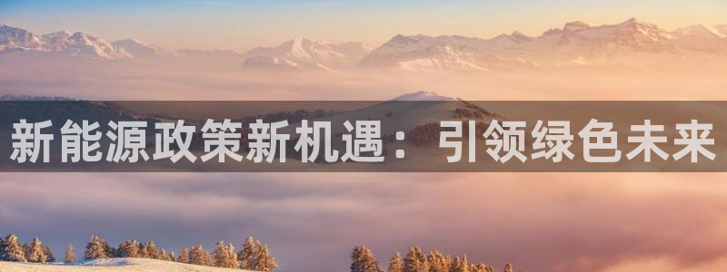 新宝gg 77848扣：新能源政策新机遇