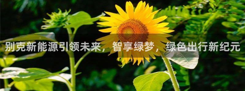 新宝gg招商-299136：别克新能源引