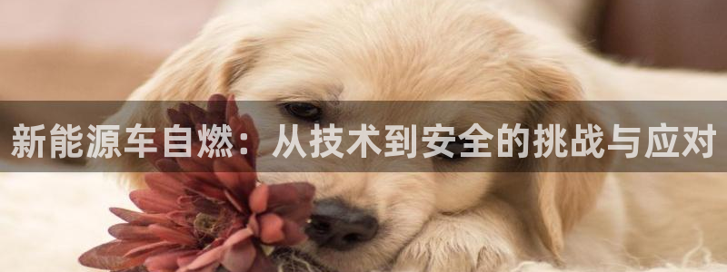 新宝gg与新宝5：新能源车自燃：从技术到