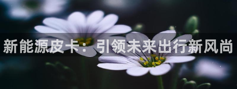 新宝gg 创造奇迹:新能源皮卡:引领未来出行新风尚