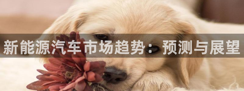 新宝gg1956登陆:新能源汽车市场趋势:预测与展望