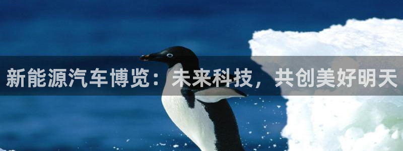 新宝gg登录注册:新能源汽车博览:未来科技,共创美好明天