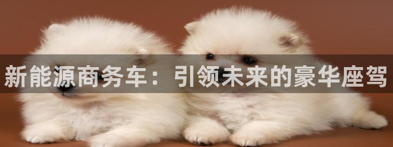 新宝gg客户端下载:新能源商务车:引领未来的豪华座驾