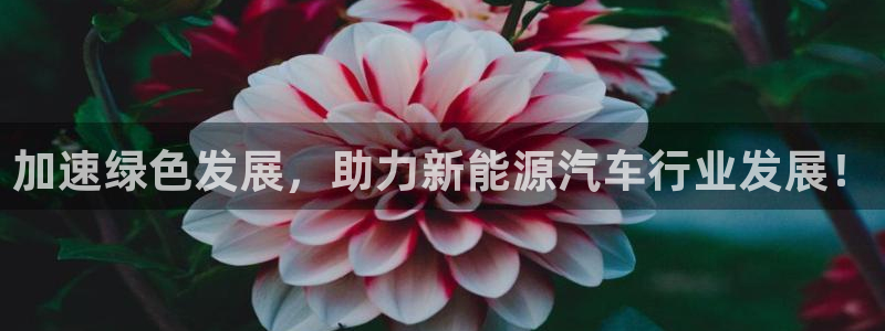 新宝 gg 下载:加速绿色发展,助力新能源汽车行业发展!