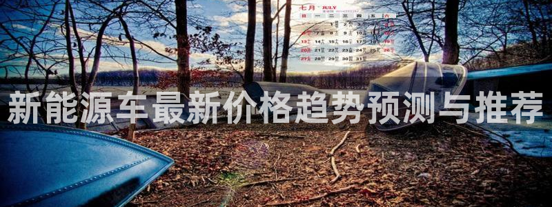 新宝gg龙虎规则:新能源车最新价格趋势预测与推荐