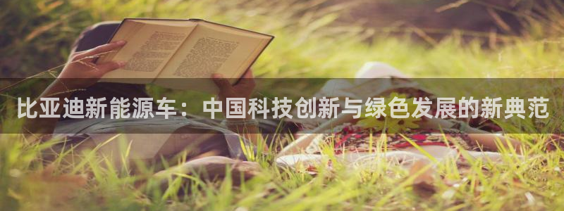 广东新宝电器gg:比亚迪新能源车:中国科技创新与绿色发展的新