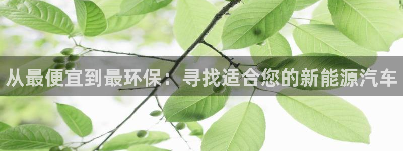 谁有新宝GG