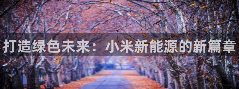 xbgg新宝gg：打造绿色未来：小米新能