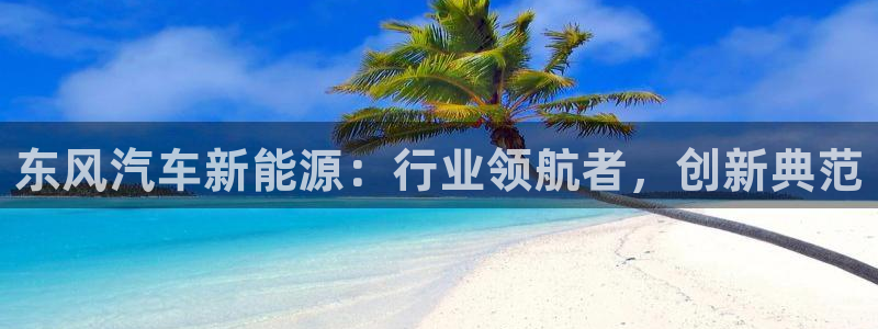 新宝gg吧：东风汽车新能源：行业领航者，