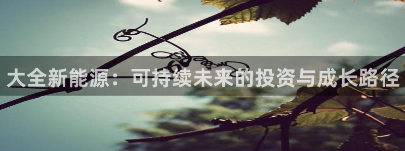 新宝gg创造奇迹下载:大全新能源:可持续未来的投资与成长路径