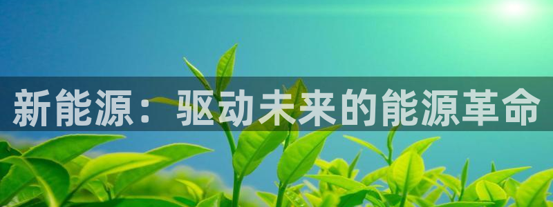 新宝 gg最新