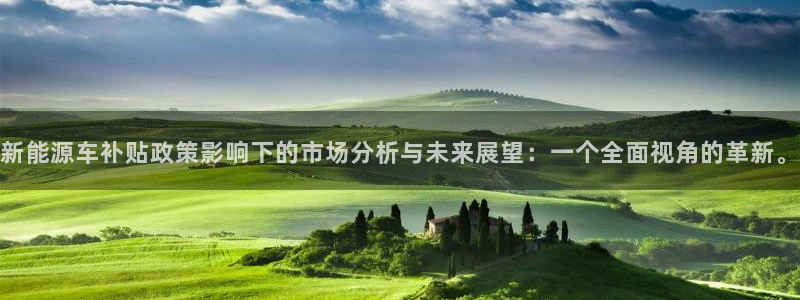 新宝GG朔78778:新能源车补贴政策影响下的市场分析与未来