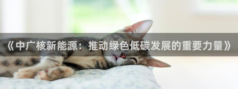 新宝gg娱乐平台