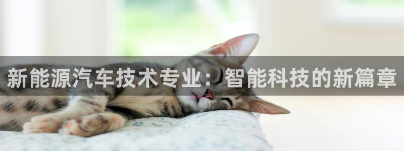 新宝GG 黑钱：新能源汽车技术专业：智能