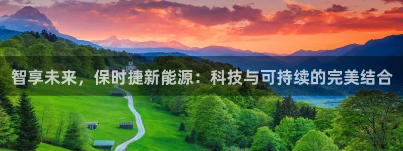 新宝 gg：智享未来，保时捷新能源：科技