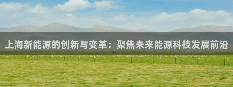 新宝gg主管开:上海新能源的创新与变革:聚焦未来能源科技发展