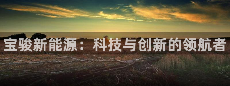 新宝5和新宝gg:宝骏新能源:科技与创新的领航者