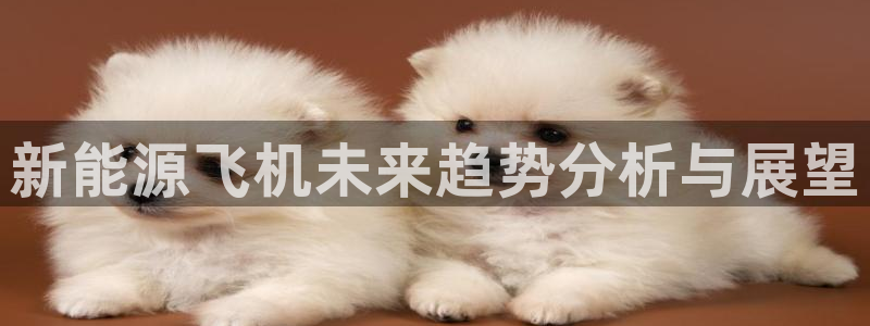 新宝gg代理登录:新能源飞机未来趋势分析与展望