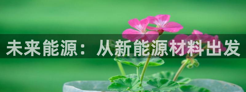 新宝GG询问29999:未来能源:从新能源材料出发