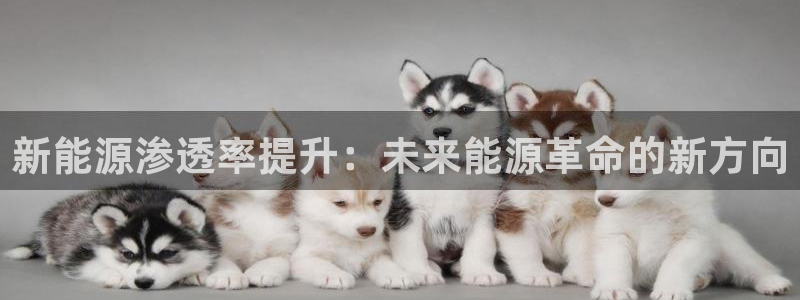 新宝gg招商-299136:新能源渗透率提升:未来能源革命的