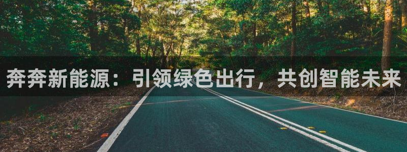 新宝gg打发:奔奔新能源:引领绿色出行,共创智能未来