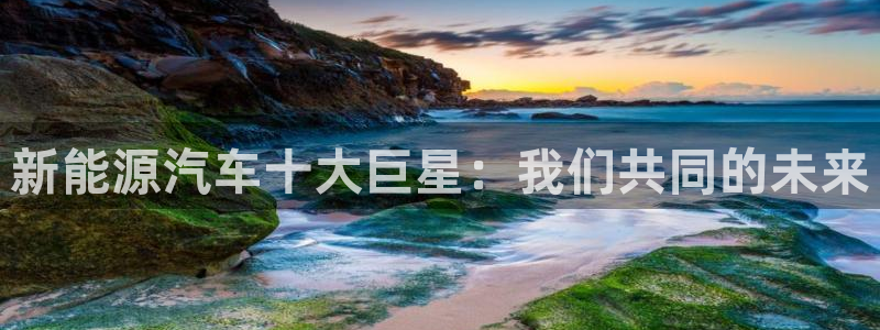 新宝GG程355051:新能源汽车十大巨星:我们共同的未来