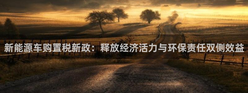 新宝GG无法充值